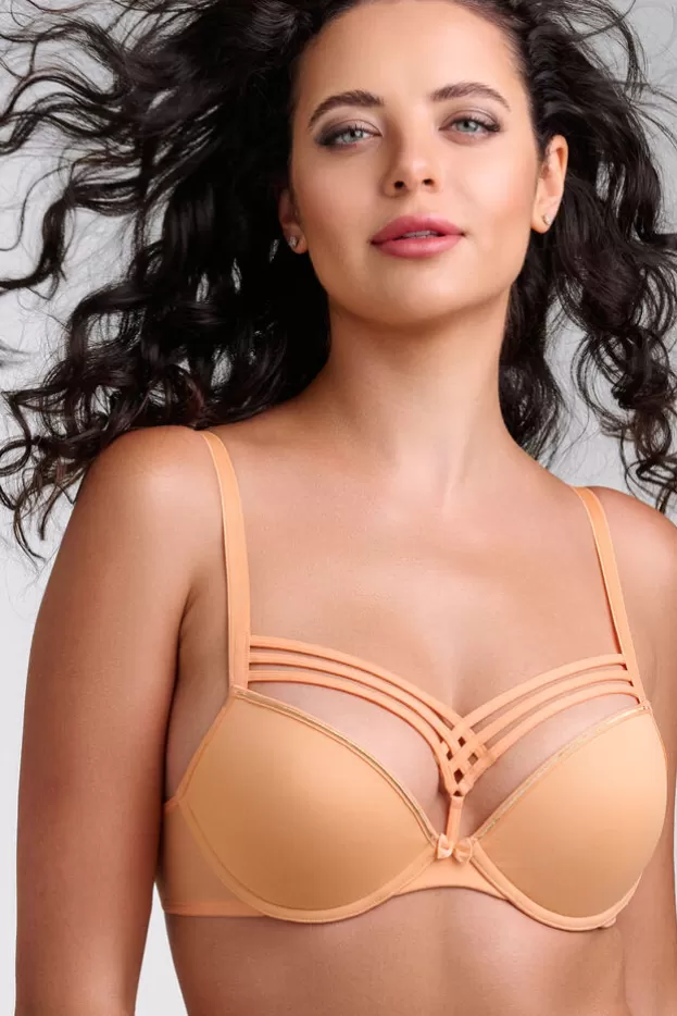 dame-de-paris-push-up-bra<Marlies Dekkers Lingerie New