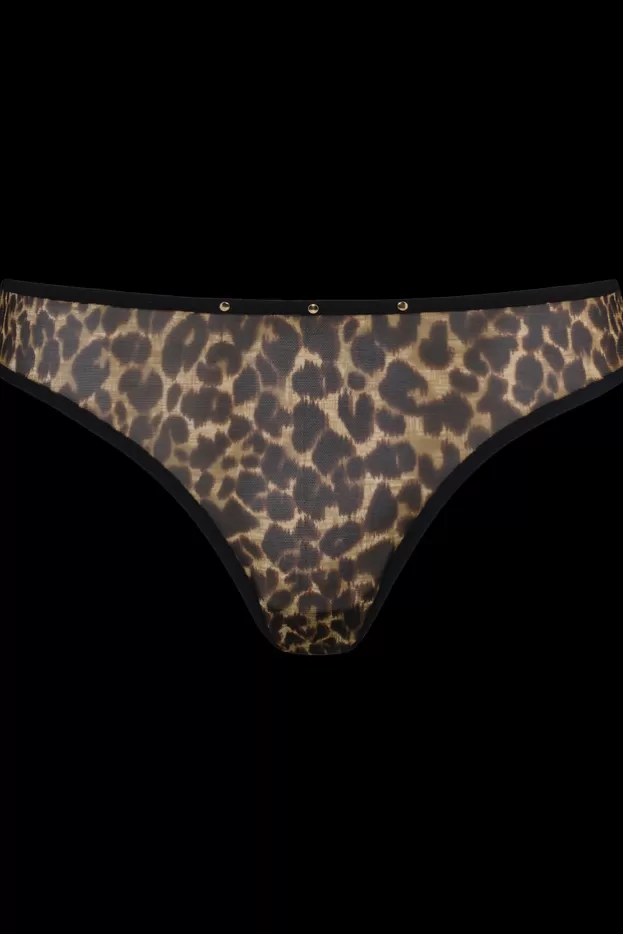vixen-5-cm-briefs<Marlies Dekkers Lingerie Hot